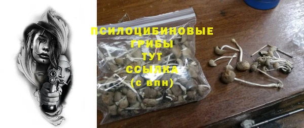 наркотики Белокуриха