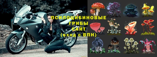 наркотики Белокуриха