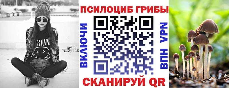 Галлюциногенные грибы Cubensis  сколько стоит  Богданович 